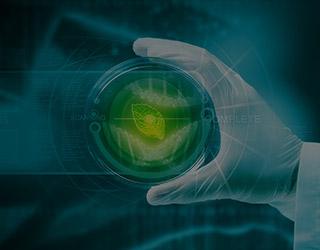 생명과학부(분자의생명전공)