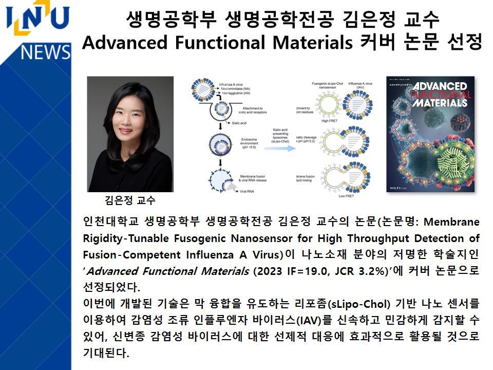 [2023년]생명공학부 생명공학전공 김은정 교수 Advanced Functional Materials 커버 논문 선정 대표이미지