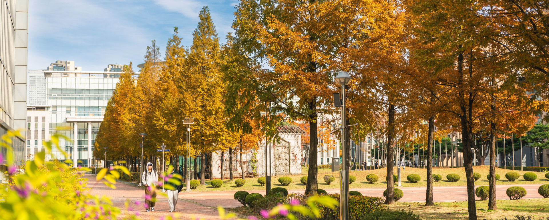 202510 가을캠퍼스2.jpg