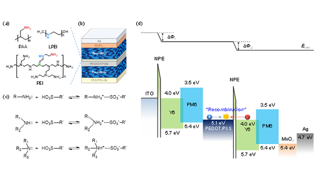 “Breaking the Limits with ‘Chemical Locking’… Incheon National University Boosts the Commercializati 대표이미지